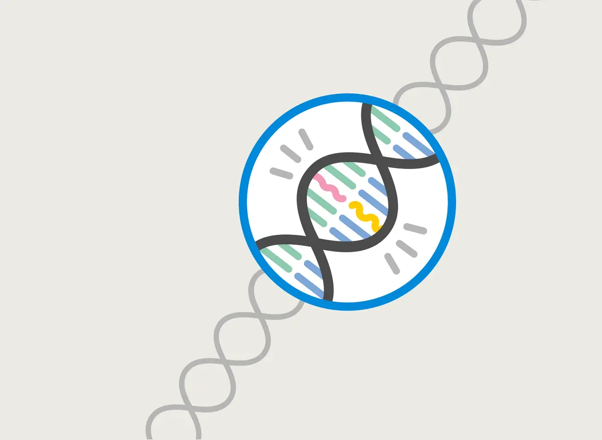 DNA Genome illustration.