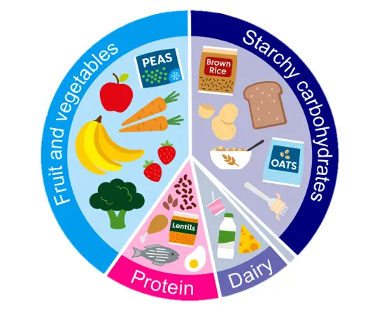 Illustration or pie chart of healthy, balanced meals - fruit and vegetables, dairy, protein, starchy carbohydrates.