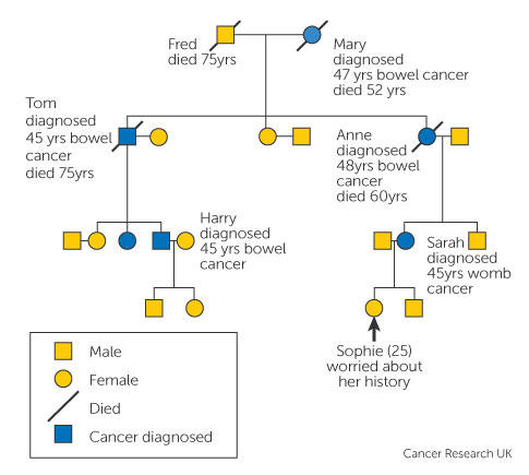 Is cancer genetic?