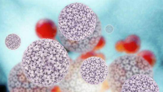 HPV