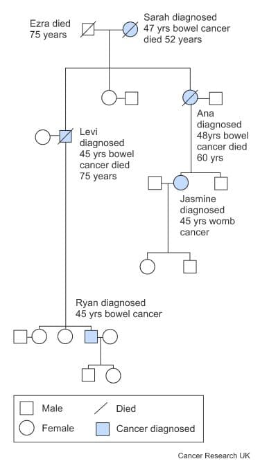 Diagram showing a family tree with a pattern of cancer that could be caused by an inherited gene change.
