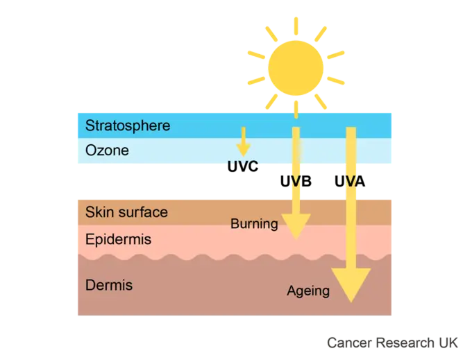 Types of UV rays illustration.