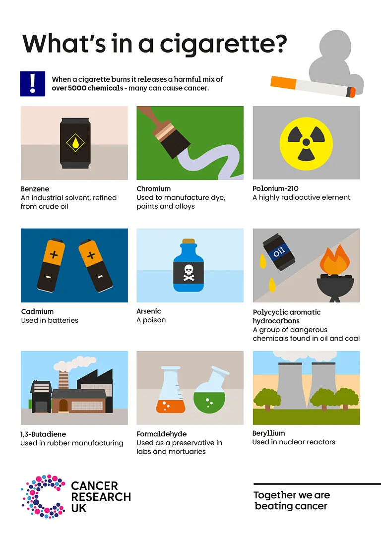 What's in a cigarette infographic.