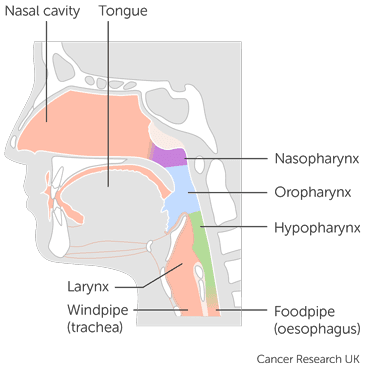 18055 ADePT-DDR - Trial Diagram.