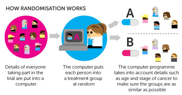 Diagram showing how randomisation works.