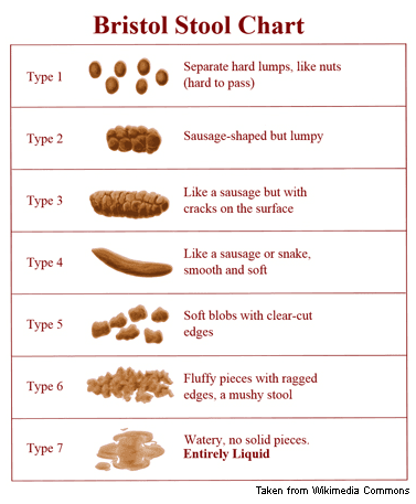 Photograph of Bristol Stool Chart .