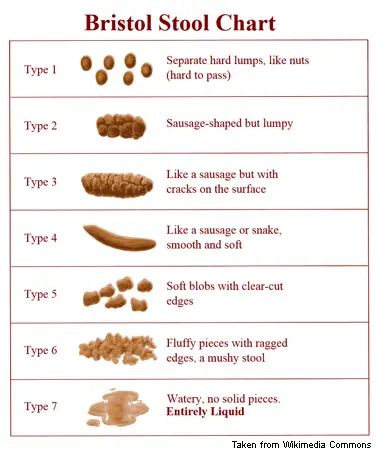 Photograph of Bristol Stool Chart .