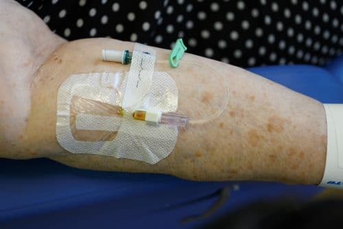 Photograph of a cannula.