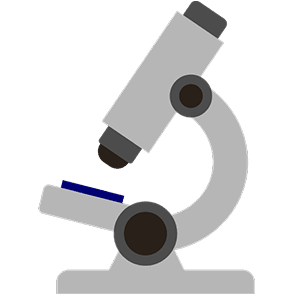 An illustration of a microscope.