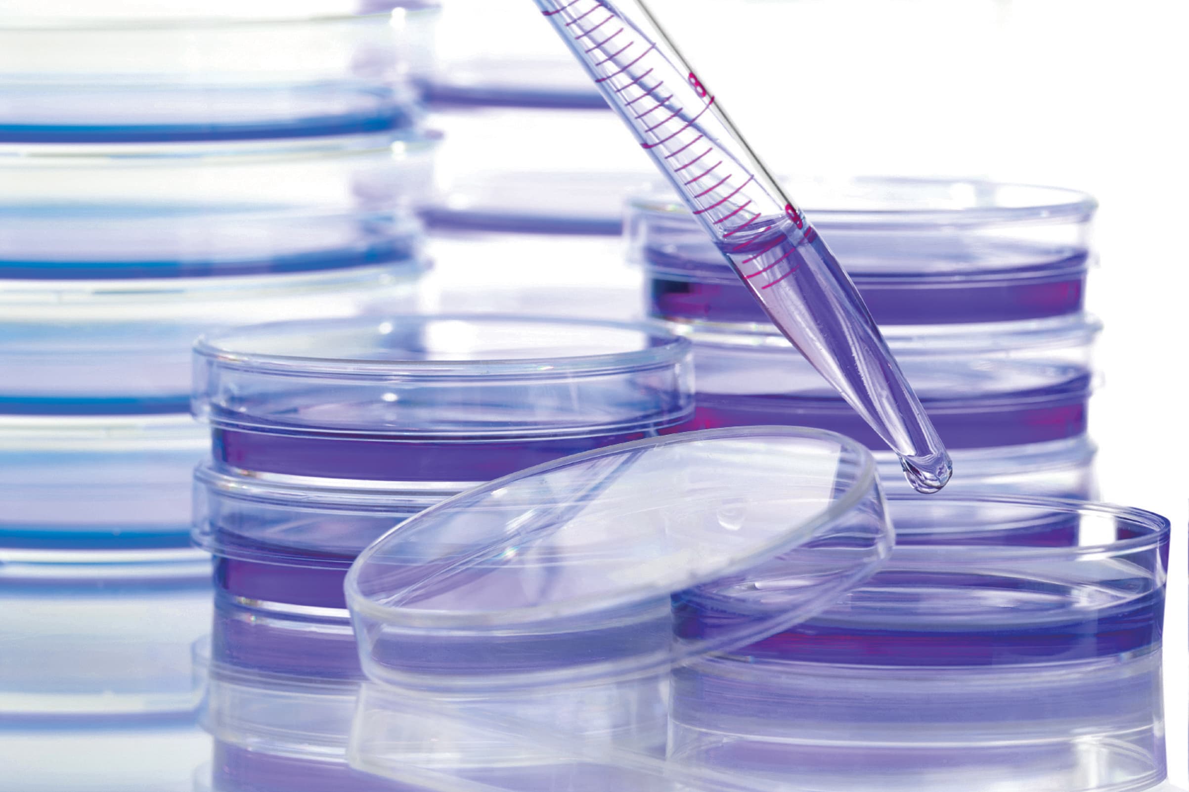 Stack of petri dishes with pipette.