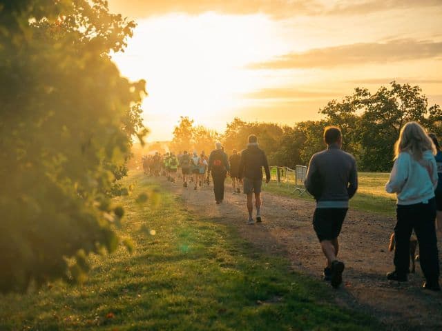 A group of walkers along a country path at sunrise, there are trees and fields. Golden sunlight with a people in foreground.