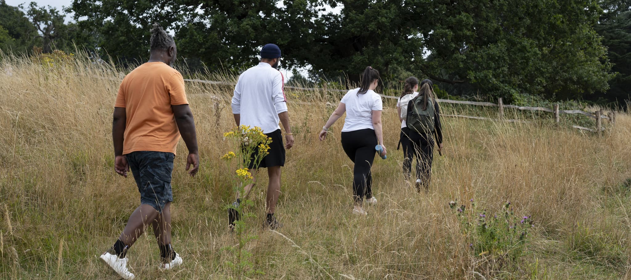 Image of the back of a group of walkers.
