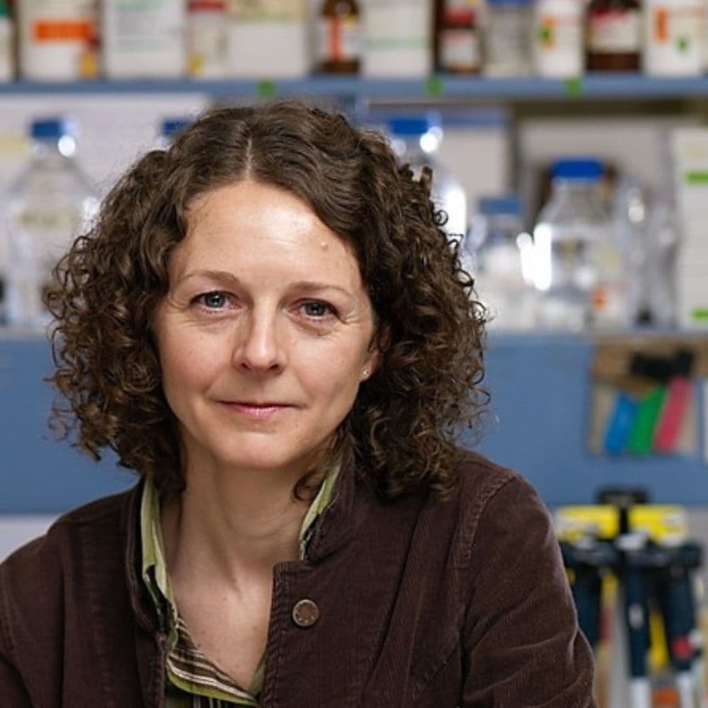 Sue Burchill headshot.