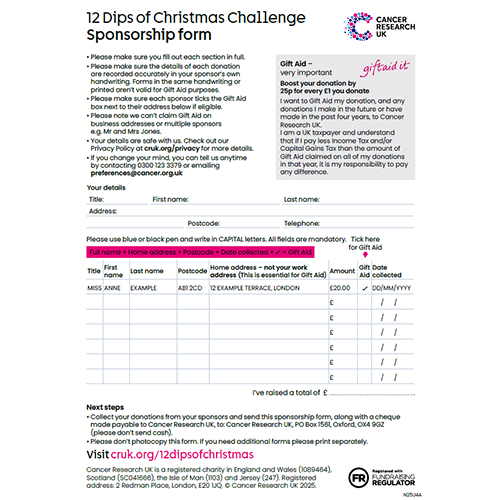 Sponsorship form for the 12 Dips of Christmas Challenge with Gift Aid info and donation tracking fields.