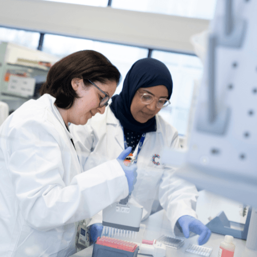 Researchers working together in a lab.