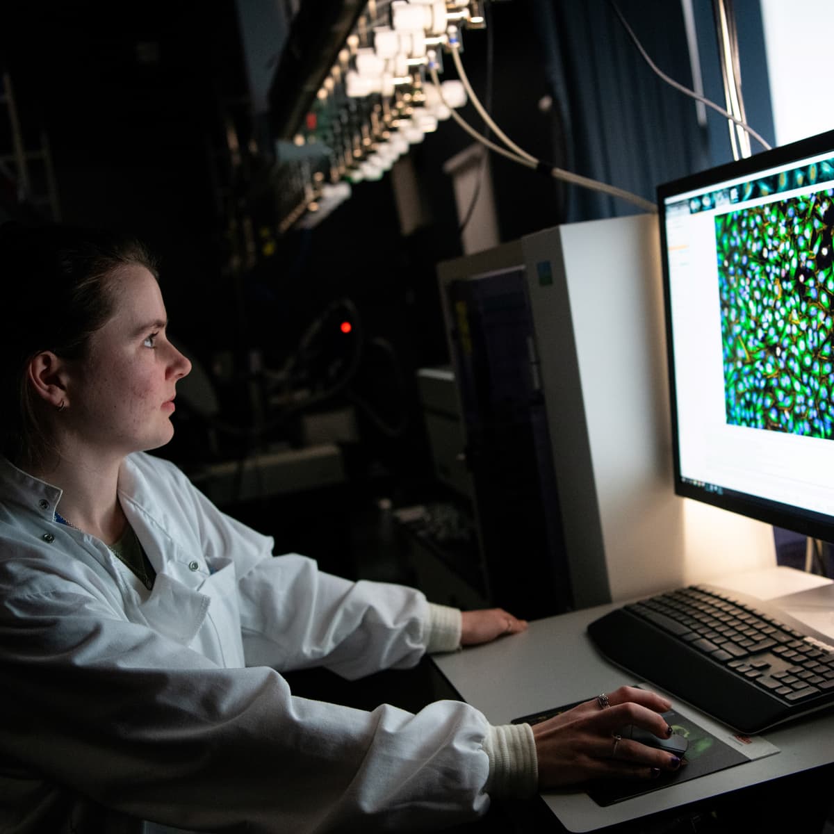 Researcher studying samples on the screen.