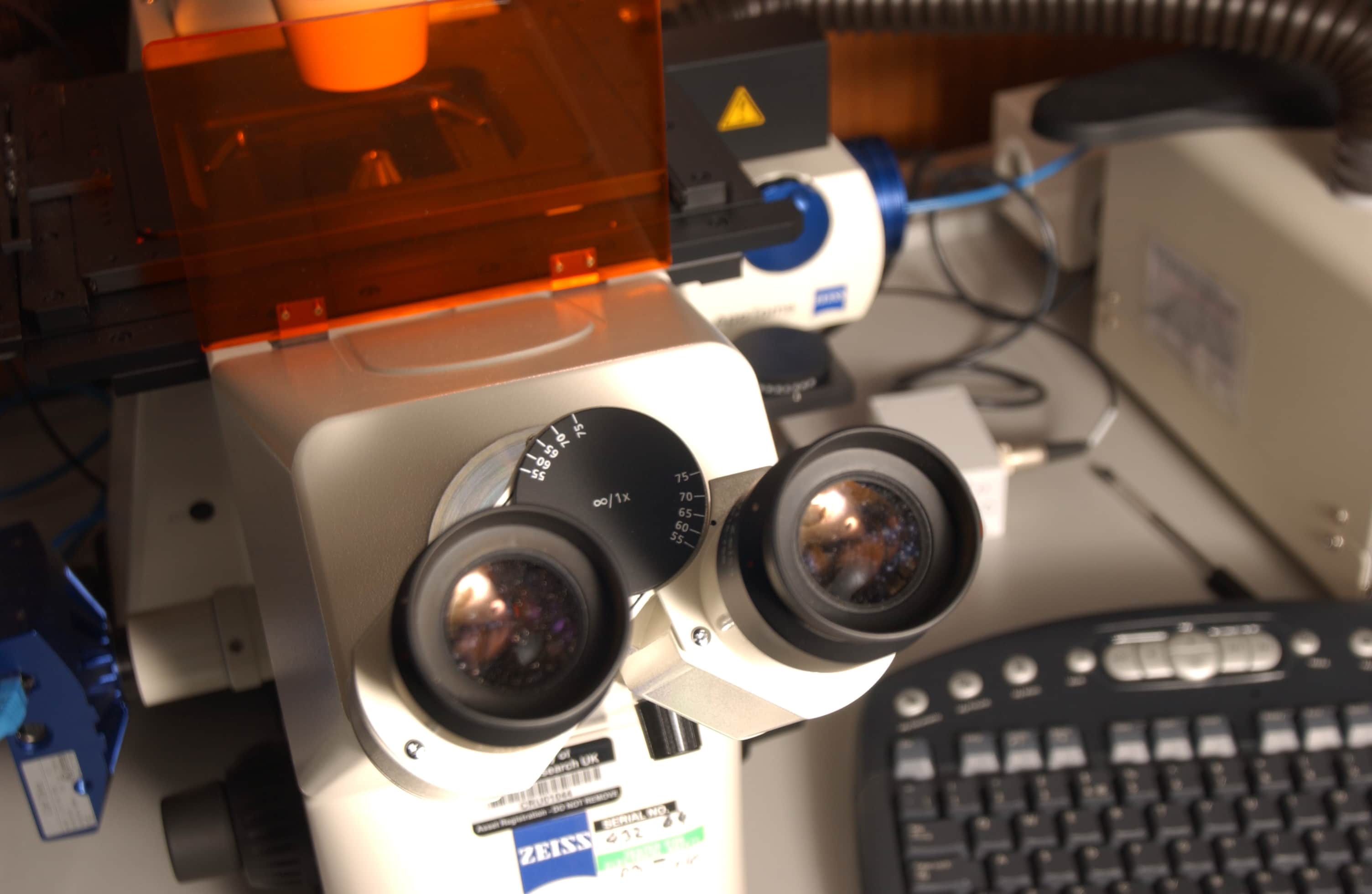 Microscope in a lab.