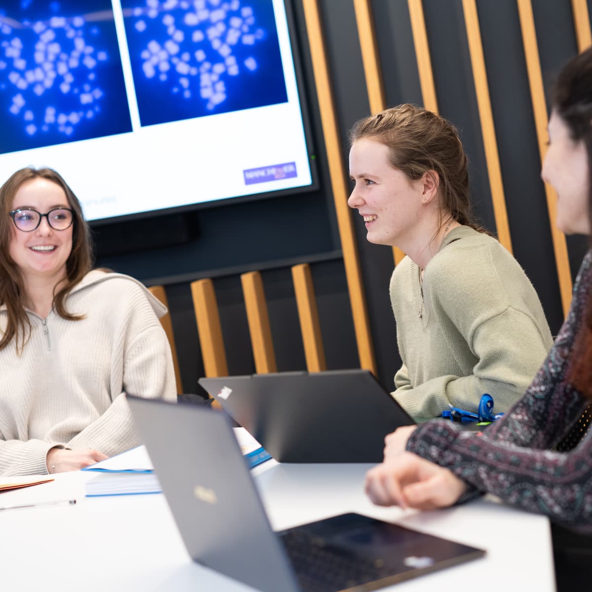 A group of researchers having a conversations in a conference room.