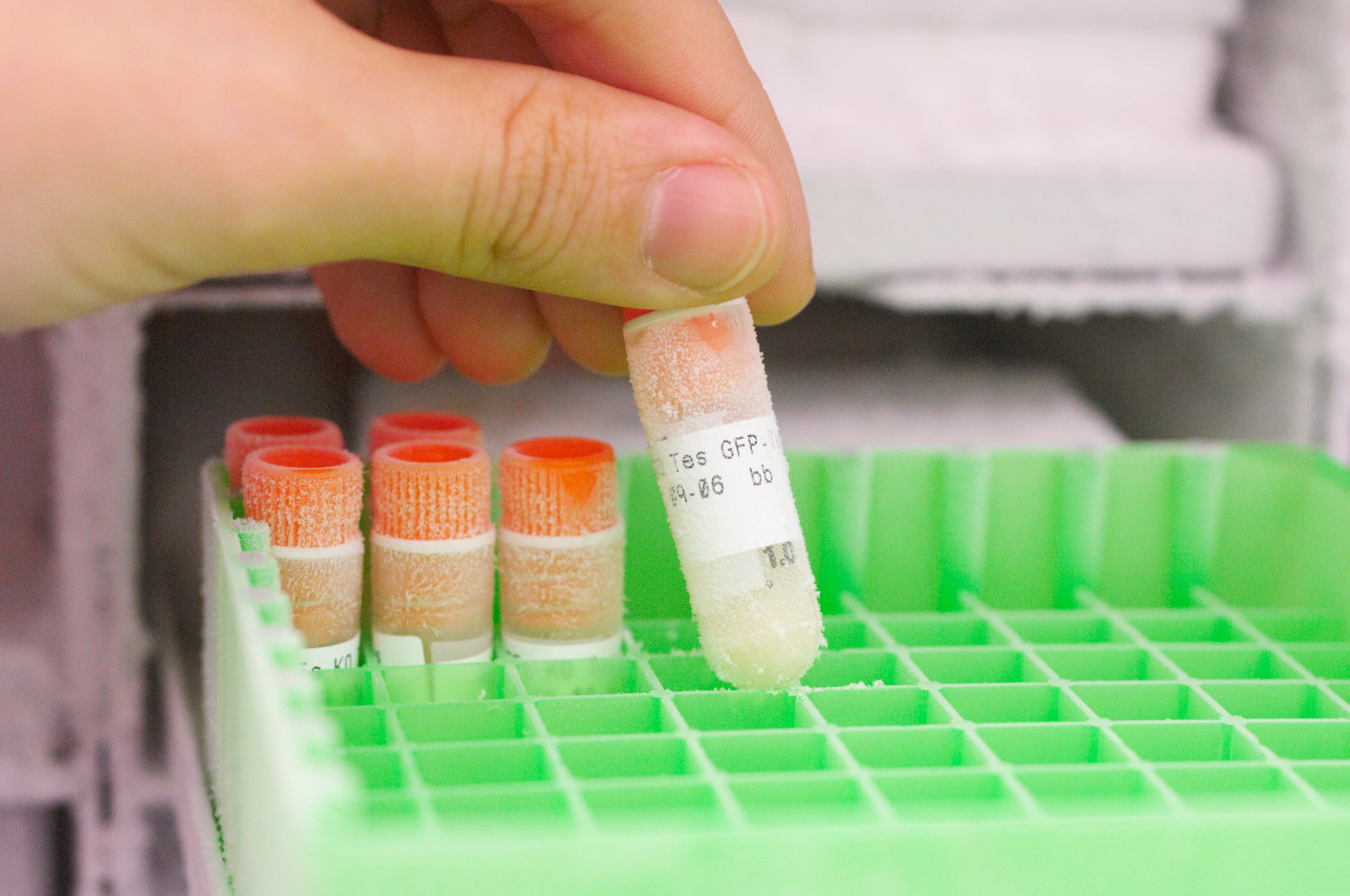 A researcher holding a frozen test tube.