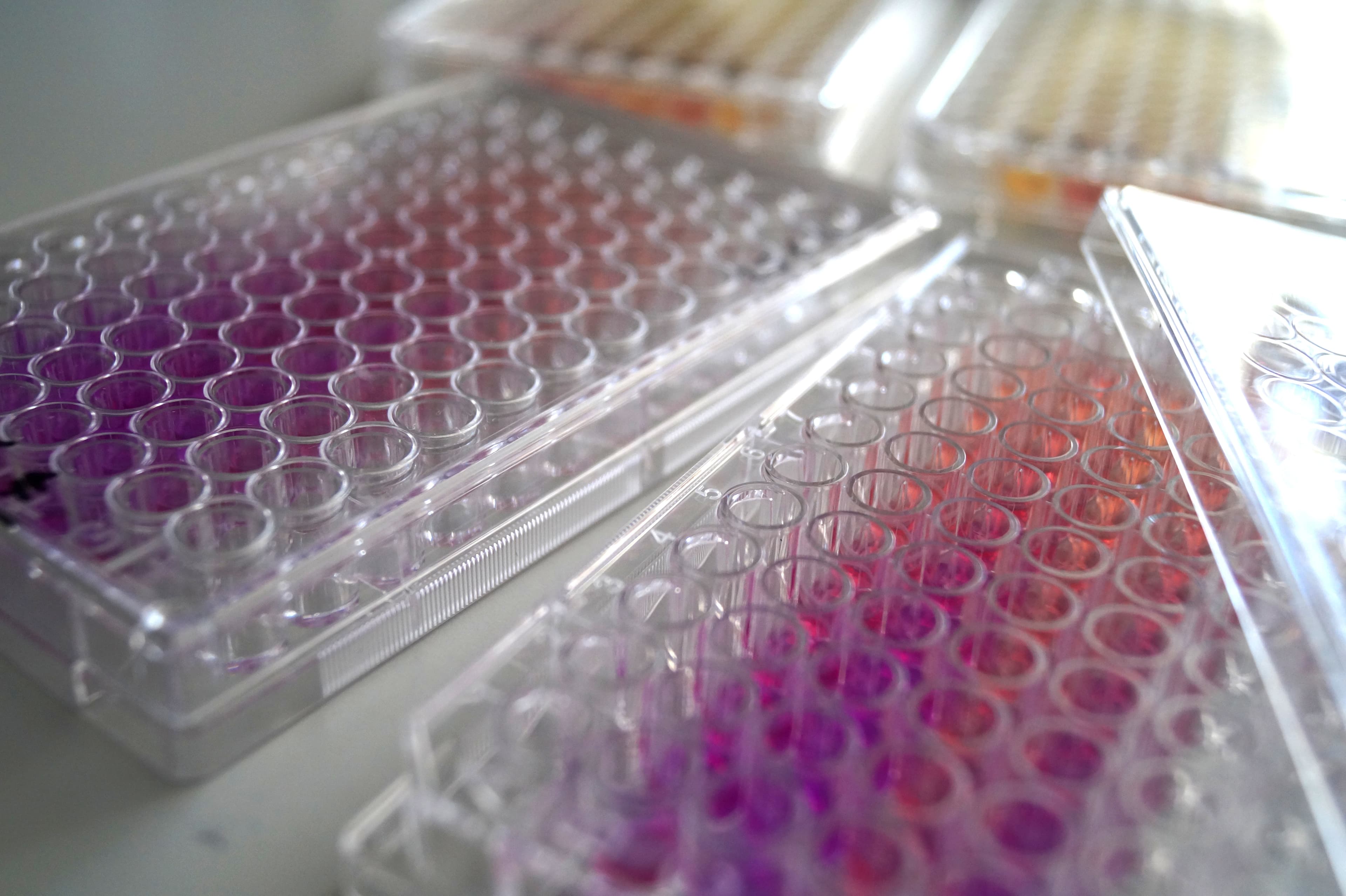 Southampton Centre - Science Lab Equipment.