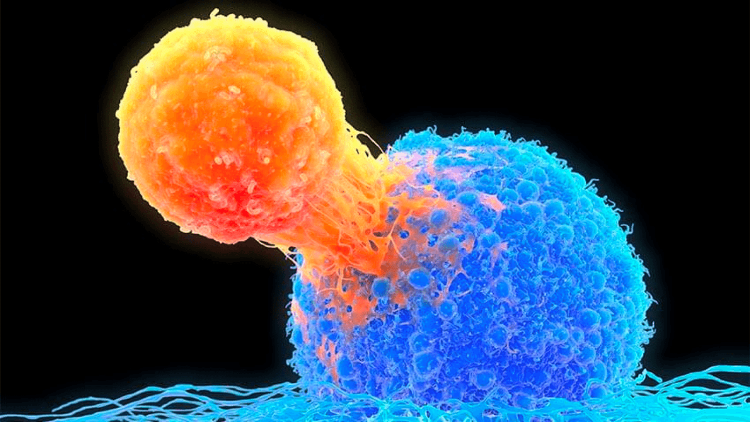Harnessing the immune system for cancer early detection.