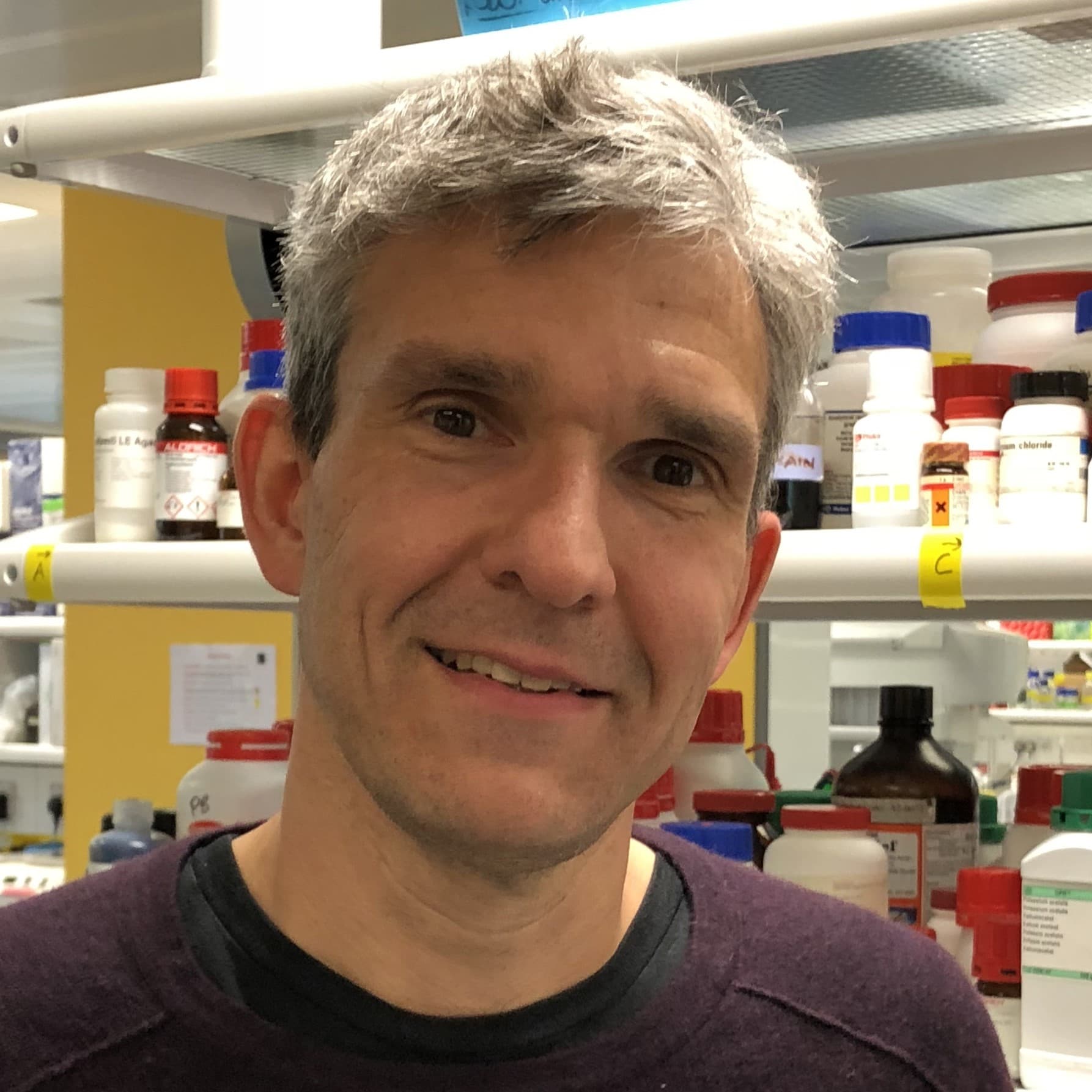 Image of Robert Köchl.