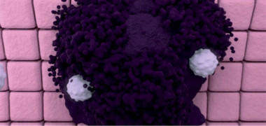 White blood cells attacking a tumour