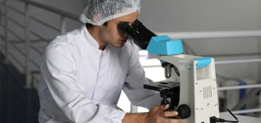 A researcher looking down a microscope