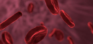 An illustration of blood cells