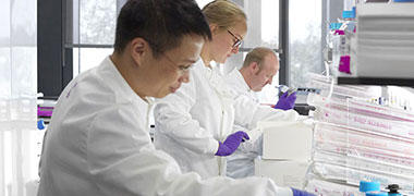 Cancer Research UK scientists working in the lab