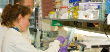 Researchers working together in a lab