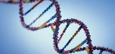 A graphic of DNA