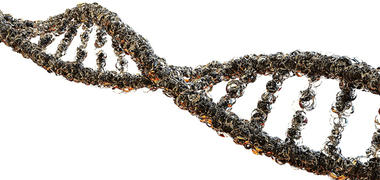 A strand of DNA