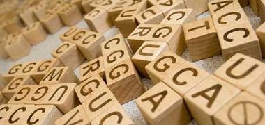 Wooden letters of the DNA code