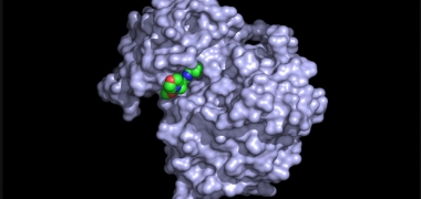 An image of the EGFR molecule