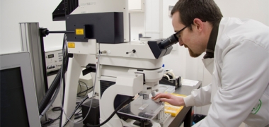 Scientist looking down a microscope