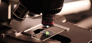 A microscope and sample on a slide