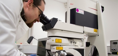 A researcher looking down a microscope