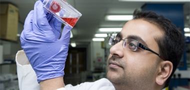 A male scientist looking at cells in a flask