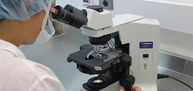 A scientist looking at a sample under a microscope