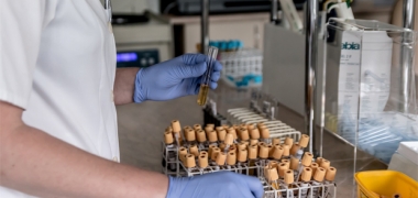 A researcher with samples in test tubes