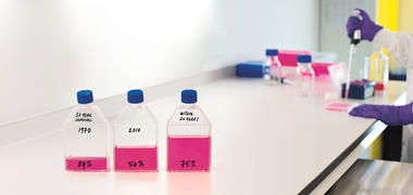 Flasks in the lab with our 3 in 4 strategy written on them