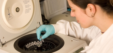 A female scientist arranging samples in a lab