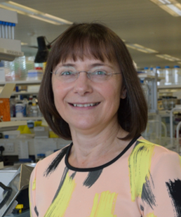 professor karen vousden