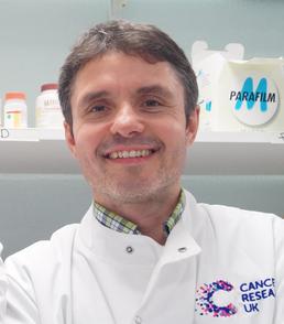 Professor Mark Cragg