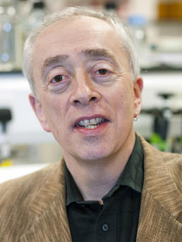 Professor Laurence Pearl