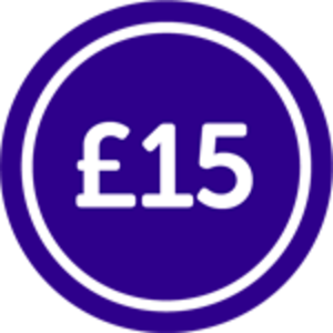 £15 coin