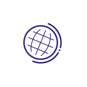globe icon