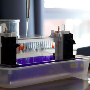 Laboratory equipment
