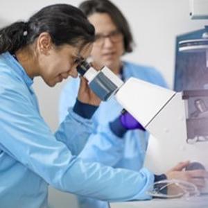 Researcher using a microscope
